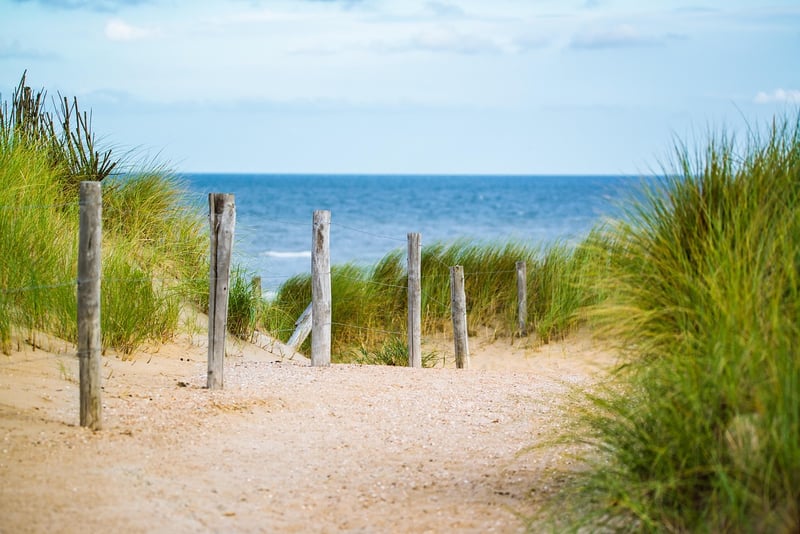 Beach Travel